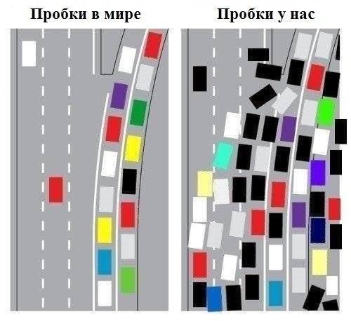 1ZmTibFqcU4.jpg