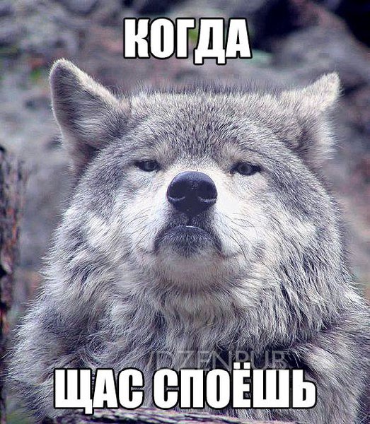 _0S6VT9kEyA.jpg