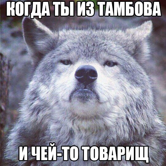 iam2L-SyKSI.jpg