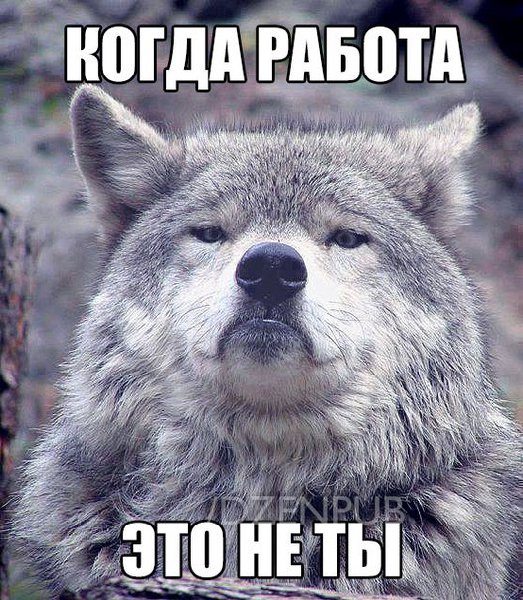 kqDmMxKSXPg.jpg