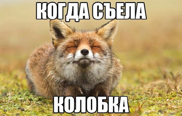 sN5DDxRWE8g.jpg