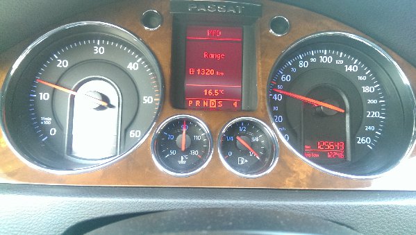 IMAG0793.jpg