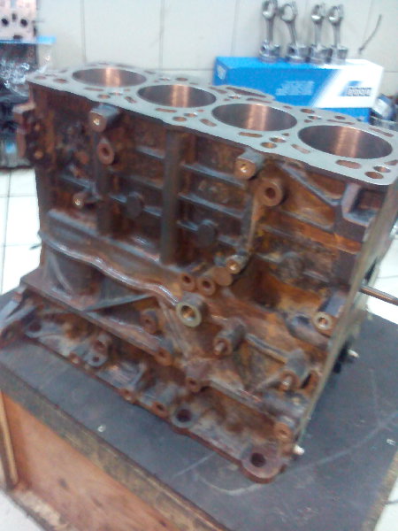 IMG_20101009_103519.jpg
