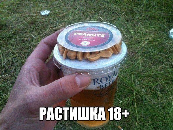xpfjkMgnx2Y.jpg