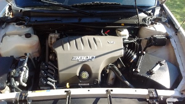 IMG_20151019_163406643[1].jpg