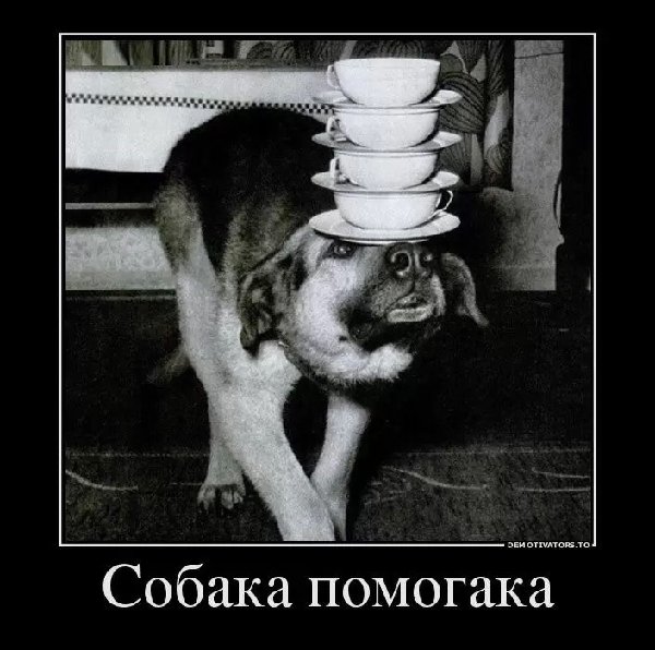uploadfromtaptalk1447365462102.jpg