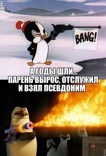 mp0j6aFIWi8.jpg