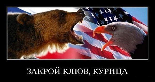 курица.jpg