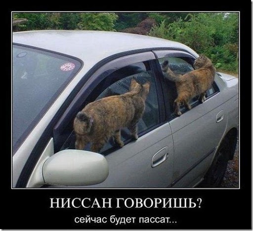 uploadfromtaptalk1447969947708.jpg