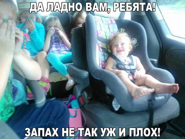 pBeg8mSGmI0.jpg