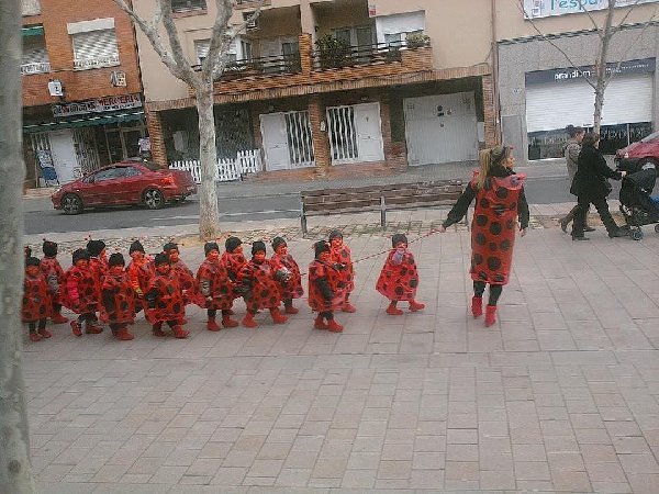 божьи каровки.jpg