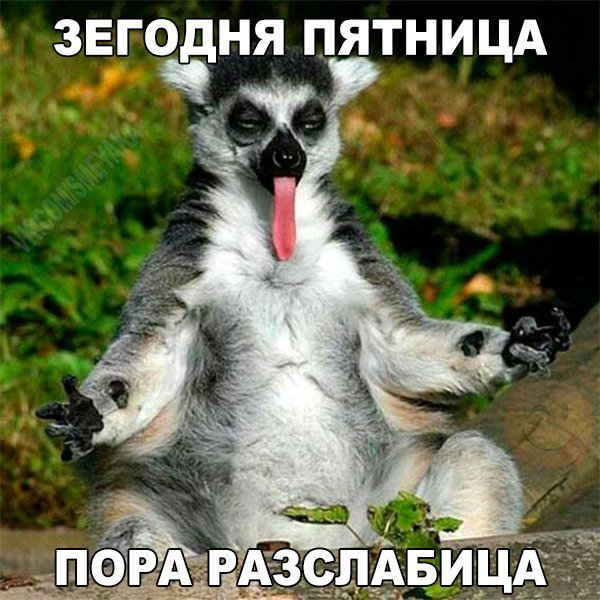 RBWdEKbKZgg.jpg