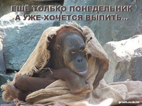 0b156d46707f909f62ec25a45d039718.jpeg