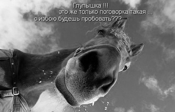 uploadfromtaptalk1451208829921.jpg