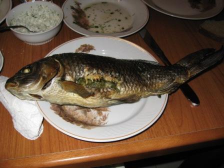 IMG_0450_1.jpg