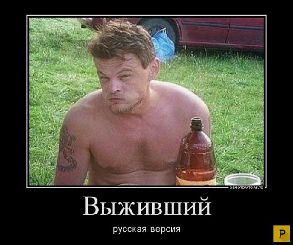 1452835654_y1.jpg