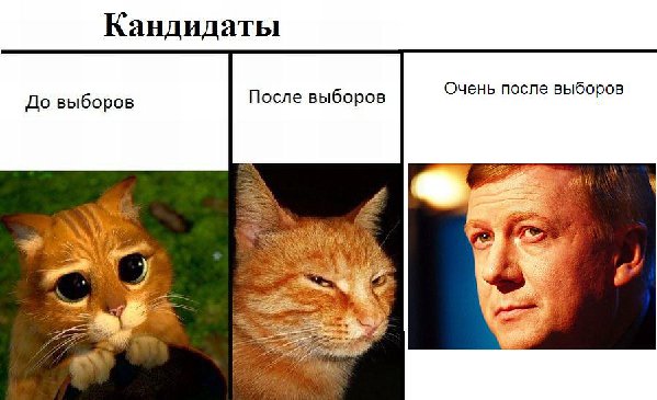 Чубайс.JPG