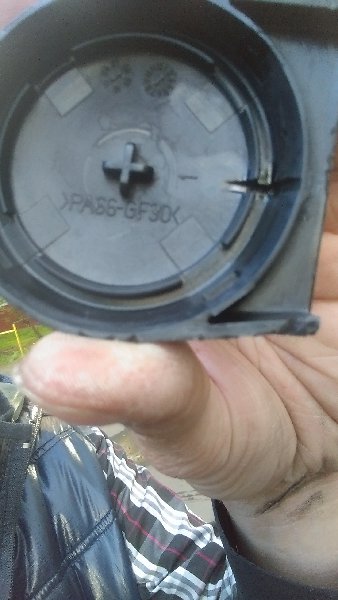 IMAG0174.jpg
