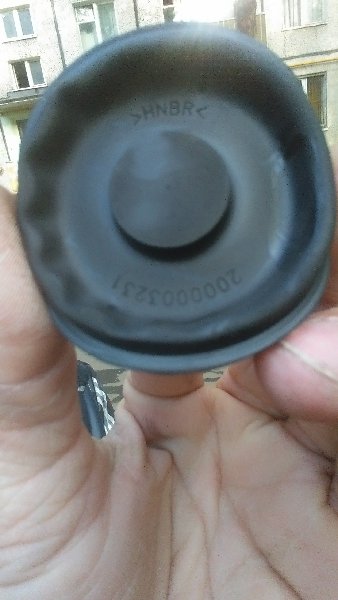 IMAG0173.jpg