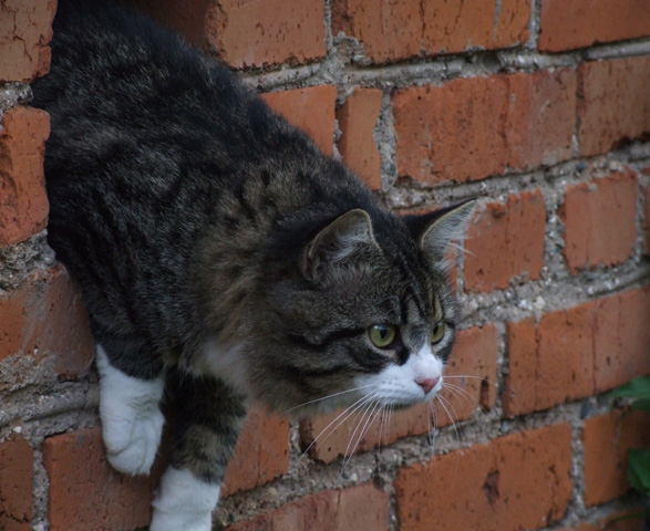 DSCF2105.jpg