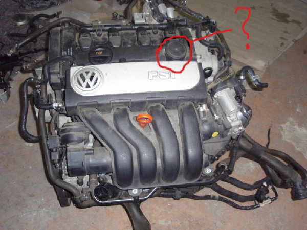 3178316556.jpg