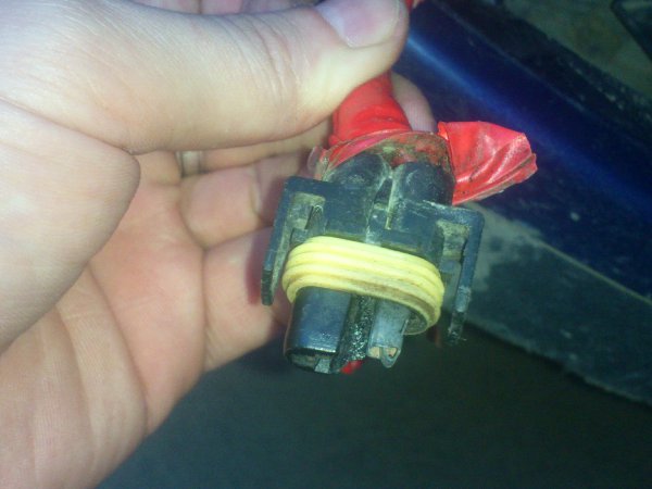 DSC_1783.JPG (727.26 Кб) Просмотров: 653 DSC_1783.JPG