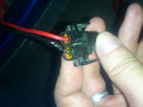 DSC_1785.JPG (771.15 Кб) Просмотров: 612 DSC_1785.JPG