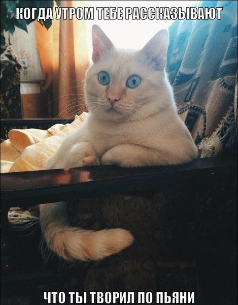 когда утром.jpg