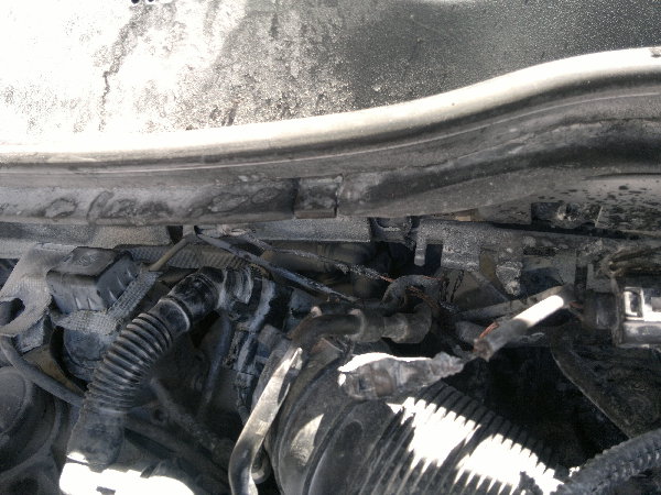 050620161540.jpg (1.73 Мб) Просмотров: 335 050620161540.jpg