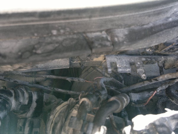 050620161541.jpg (1.43 Мб) Просмотров: 303 050620161541.jpg