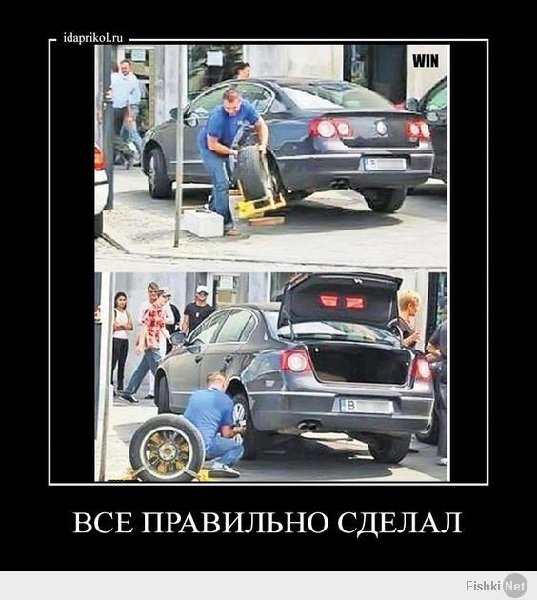 2016-07-29 фольц с кольцами.jpg