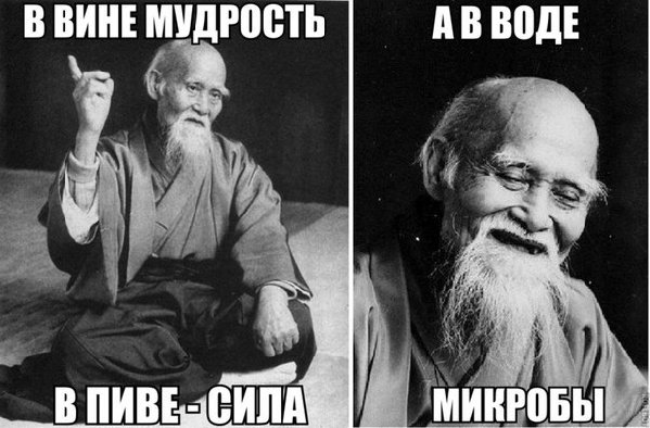 GVO6aE5qqT4.jpg