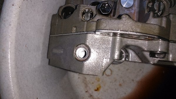 DSC_0313.JPG