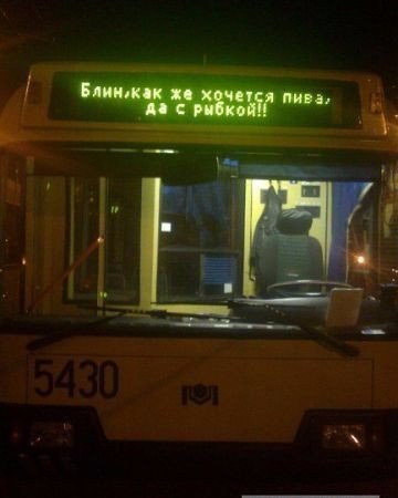 8420092.jpg