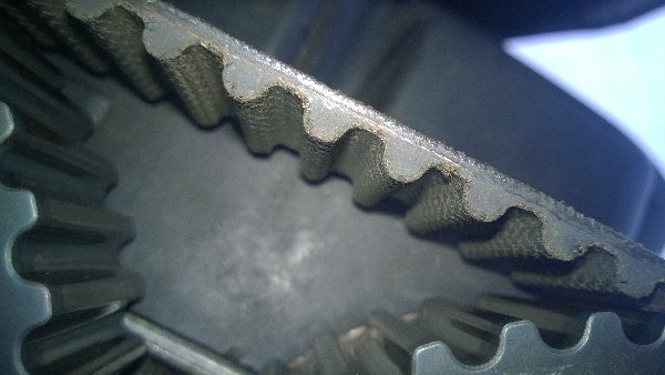 WP_20161003_003.jpg