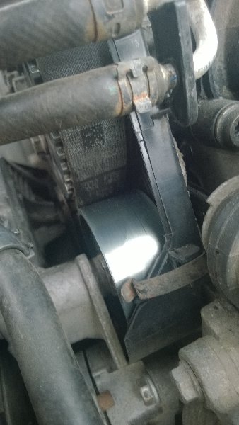 WP_20161003_006.jpg