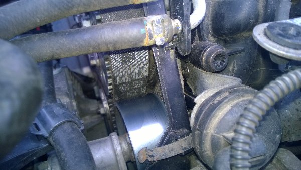 WP_20161003_008.jpg