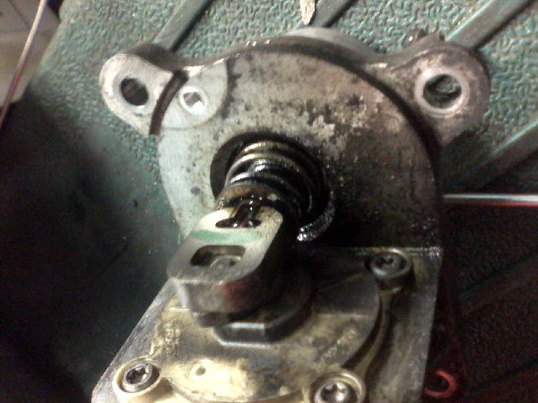 IMG_20120121_134050.jpg