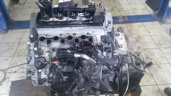 IMG-20161031-WA0014.jpg