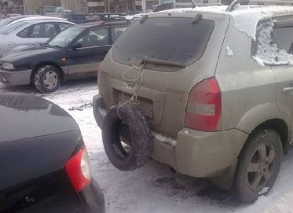 первый снег.jpg