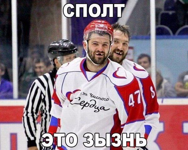 8865005.jpg