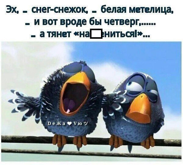 PCSIMG-0b3f9727ef6393b56b21f0cdf1cc0288.jpg