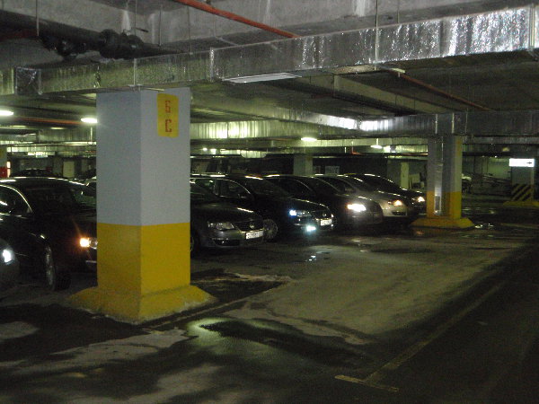 P2050416.JPG