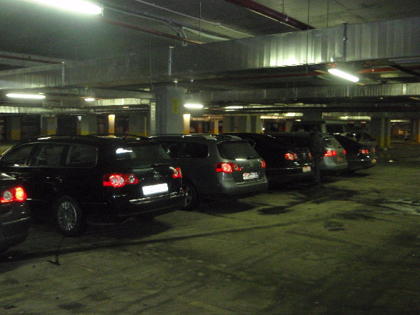 P2050420.JPG