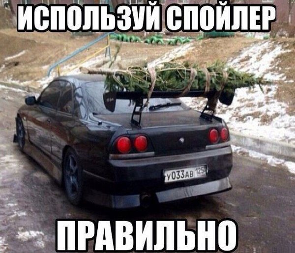 11_6.jpg