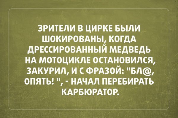 8917238.jpg