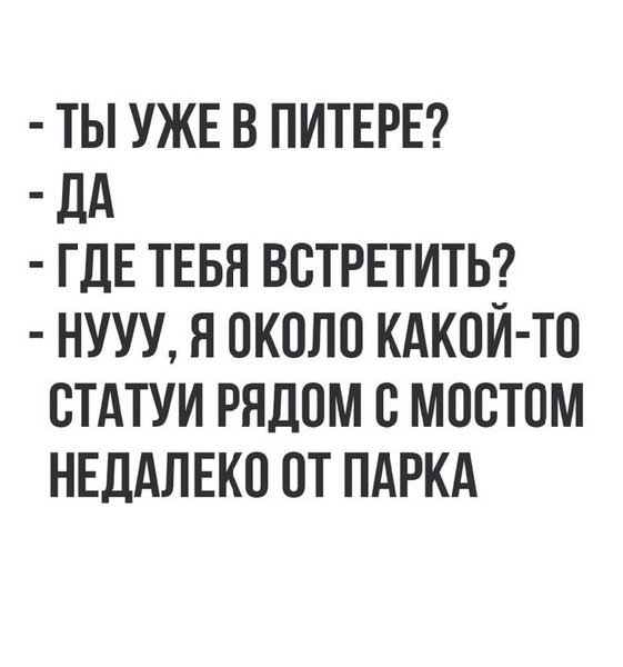 9060377.jpg