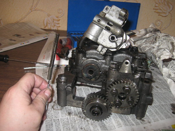 IMG_0464.JPG (1.04 Мб) Просмотров: 764 IMG_0464.JPG