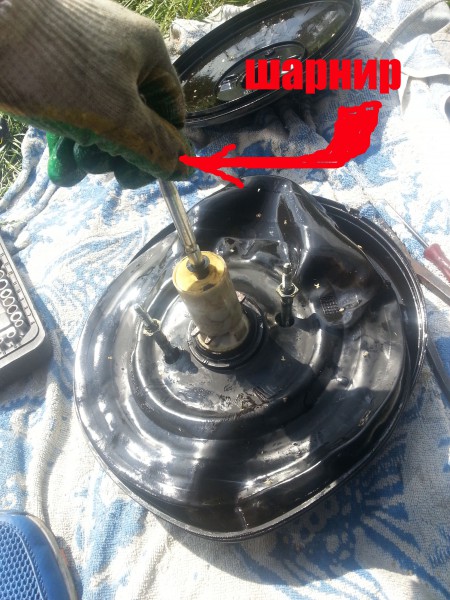 ШАРНИР.jpg