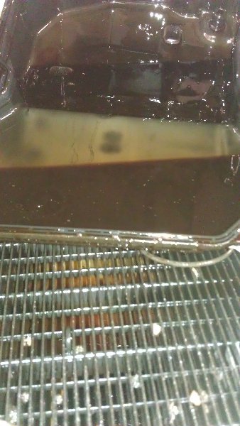 IMAG0069.jpg